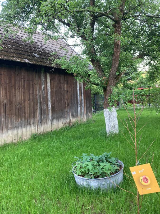 Gospodarstwo Przy Drodze. Czchow Kültér fotó